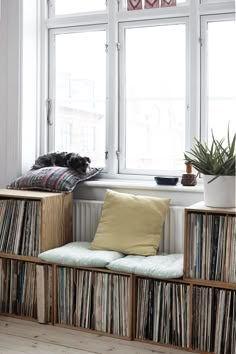 a window sill filled with lots of records next to a plant and potted plant