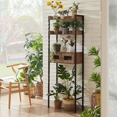 a wooden shelf filled with potted plants on top of a hard wood floor next to a window