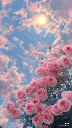 pink roses are in the foreground against a blue sky with clouds