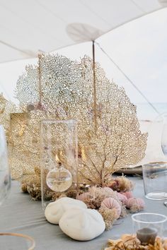 the table is set up with sea shells and seashells for an ocean themed party