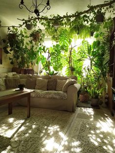 a living room filled with lots of green plants