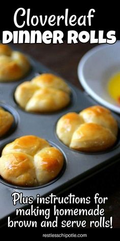 Golden brown cloverleaf rolls in a muffin tin. Old Fashioned Yeast Rolls Recipe, Clover Leaf Rolls, Cloverleaf Rolls, Homemade Yeast Rolls, Homemade Yeast, Yeast Rolls Recipe, Rolls Homemade, Homemade Rolls