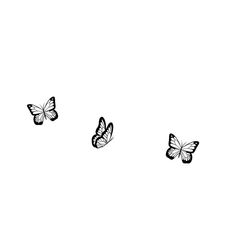 three black and white butterflies flying in the sky