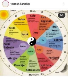 Chinese Body Clock, Chinese Clock, Tcm Traditional Chinese Medicine, Body Clock, Organ System, Clear Thinking, Body Energy, Body Organs, Traditional Chinese Medicine