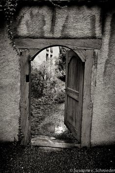 black and white photograph of an open door in a stone wall with ivy growing on it