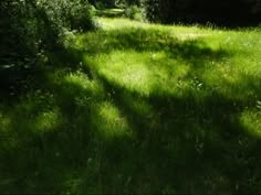 the sun is shining on some grass in the field near trees and bushes, which are casting long shadows