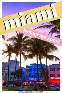 the miami instagram spots with palm trees and buildings in the background