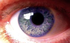 Rare Human Eye Colors, violet - on Socialphy Blue Eye Color, Eye Facts, Lovely Eyes, Gray Eyes