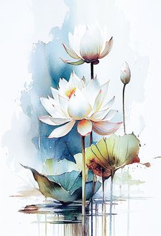 watercolor painting of two white lotuses with green leaves