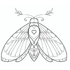 a moth with heart shaped wings on it's back and wings spread out to the side