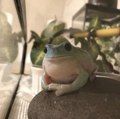 a toy frog sitting on top of a rock next to a potted plant in the background