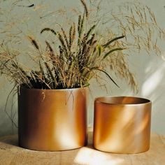 two metal pots with plants in them sitting on a table