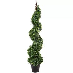 a tall potted plant is shown in the shape of a spirally shaped tree