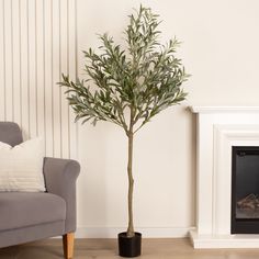 a small tree in a black pot next to a fireplace