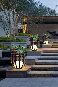 three planters with plants in them sitting on the steps to an office building at night