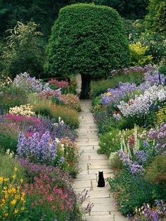 a black cat sitting in the middle of a garden with lots of flowers and trees