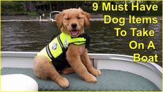 a dog wearing a life jacket sitting on a boat with the words 9 must have dog items to take on a boat