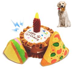 a dog sitting next to a birthday cake