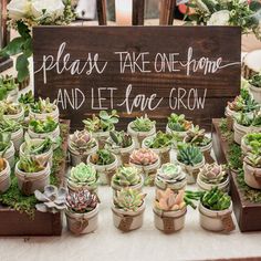 there is a sign that says please take one home and let love grow on it