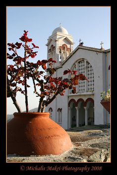 a potted plant sitting in front of a church