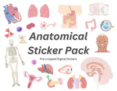 an image of medical sticker pack with human body and organ parts on white background