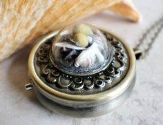 Sand Starfish, Music Box Locket, Musical Jewelry, Round Locket, Sea Lover, Tiny Treasures, Black Gift Boxes, Sand Dollar, Glass Dome