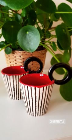 two black and white striped mugs next to a potted plant