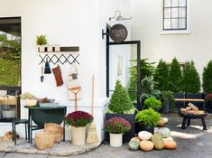 an outdoor garden shop with potted plants and pumpkins