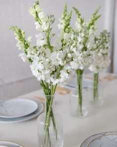 three vases filled with white flowers sitting on top of a table next to plates