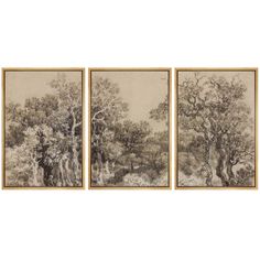 three framed paintings depicting trees in the woods