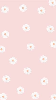 a pink background with white daisies on it