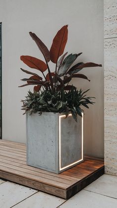 a potted plant sitting on top of a wooden platform