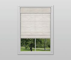 an open window with the blinds closed and trees in the backround behind it