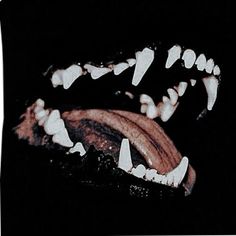 a black and white photo of teeth in the dark