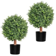 two black potted plants with green leaves on each planter, one in the shape of a ball