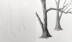 two drawings of trees with no leaves on them