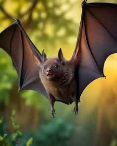 a bat flying through the air with it's wings spread out and eyes wide open