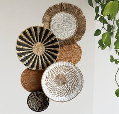 several woven baskets hanging on the wall next to a potted plant