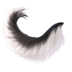 the tail of an animal with white and black feathers