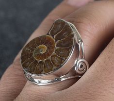 Natural Ammonite Fossil Shell Sterling Silver Ring light weight sterling silver 1 inch face Silver And Stone Jewelry, Prehistoric Jewelry, Ammonite Ring, Fossil Shell, Ammonite Jewelry, Fossil Ring, Shell Jewellery, Fantasy Earrings, Fossil Jewelry