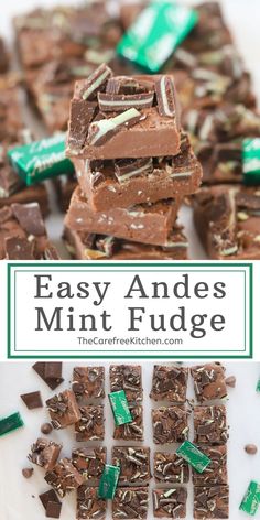 easy and delicious mint fudge made with chocolate