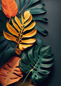 an arrangement of tropical leaves on a black background with orange and green colors in the middle