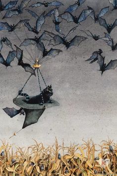 a bunch of bats that are flying in the air over some cornfield with a cat on it