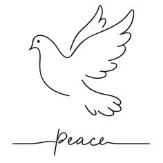 a white dove with the word peace written in cursive writing, on a white background