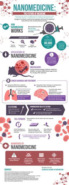 the anatomy of an animal's body, including its organs and their functions in it