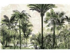 an image of a tropical scene with palm trees in the foreground and other foliage on the background