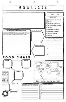 the food chain worksheet for students to help them understand what they are doing