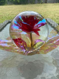 a glass vase with a red flower in it sitting on top of a table outside