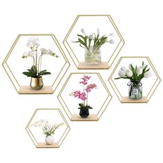 four hexagonal vases filled with flowers and greenery on wooden shelving