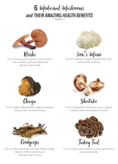 the health benefits of mushrooms and their uses